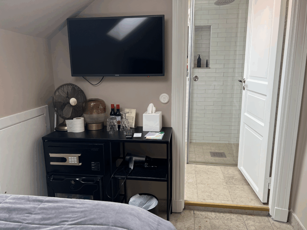 Hotell Visby Börsのシングルルーム内、テレビとバスルーム入口の様子