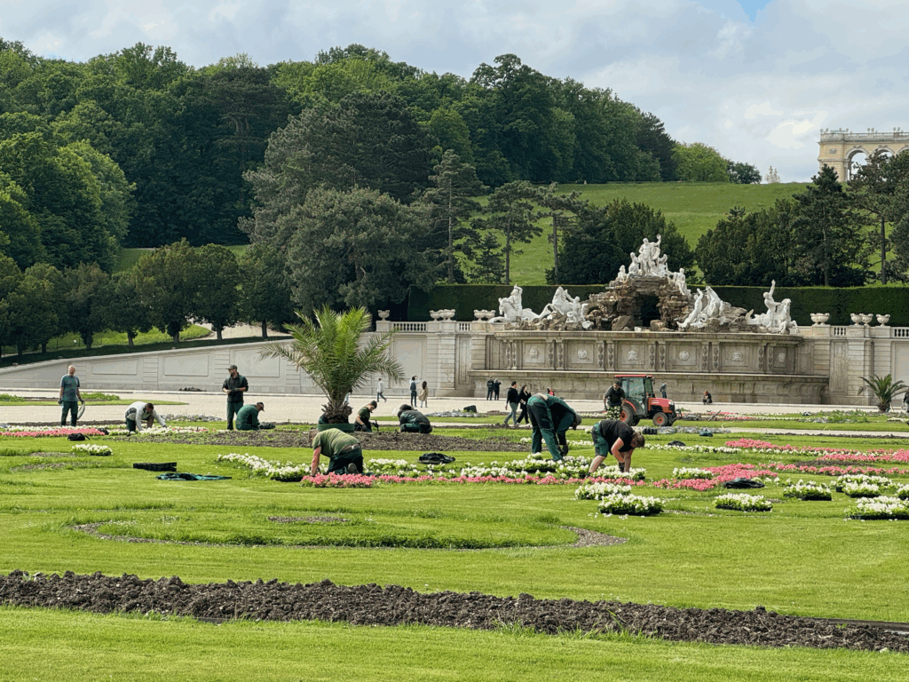 ネプチューンの泉を背景に庭園の花壇を整える作業員たち。奥にはグロリエッテの丘も見える。