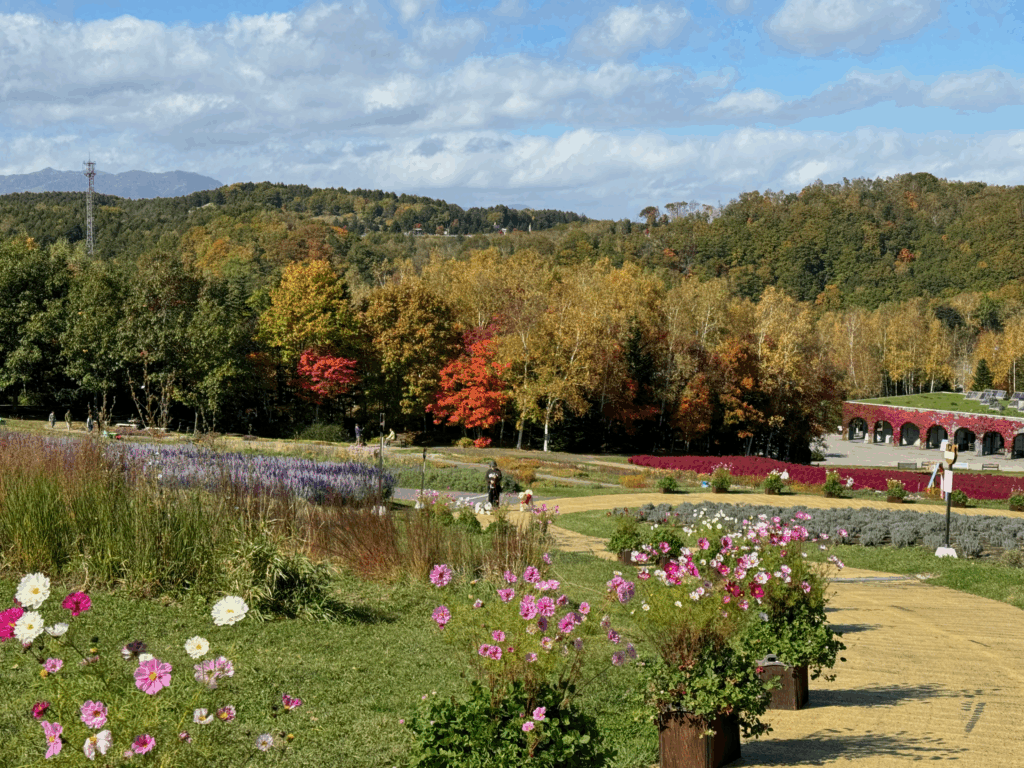 takino-suzuran-autumn-flower-panorama
