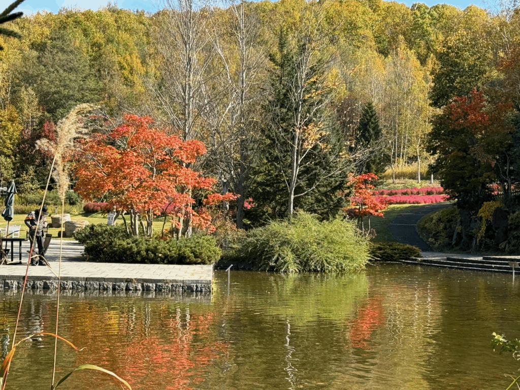 静かな池に映り込む紅葉と散策路が美しい、国営滝野すずらん丘陵公園の秋の風景