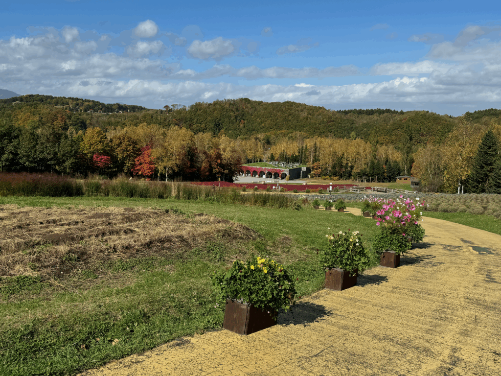 秋のカントリーガーデンを見渡す黄色い散策路と季節の花々が並ぶ風景、背景には紅葉と赤いコキアが広がる