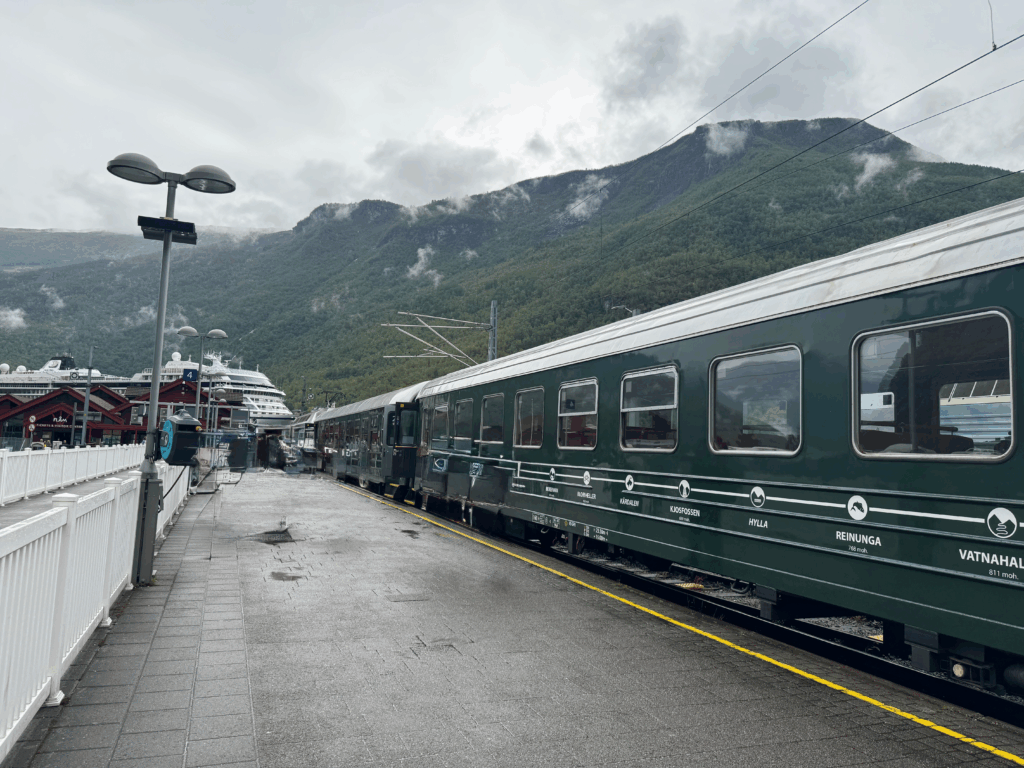 雨の日のフロム駅に停車中のフロム鉄道。背後にはフィヨルドとクルーズ船が並ぶ