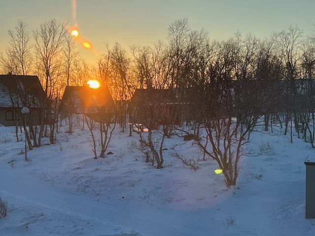 木々の間から昇る朝日と淡いオレンジの光に染まる雪景色