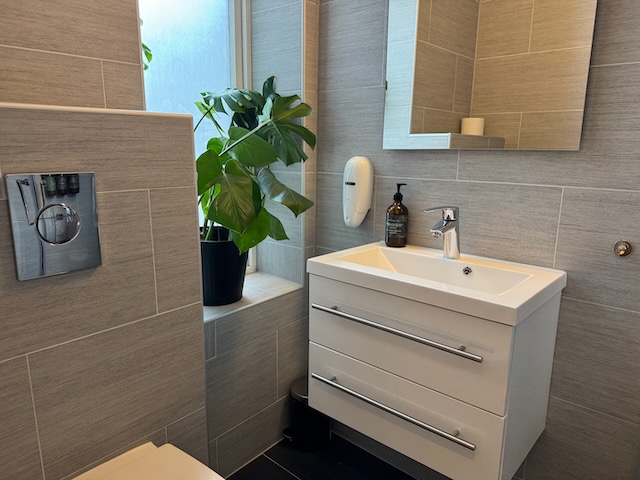 白い洗面台とモンステラの観葉植物。明るいバスルーム